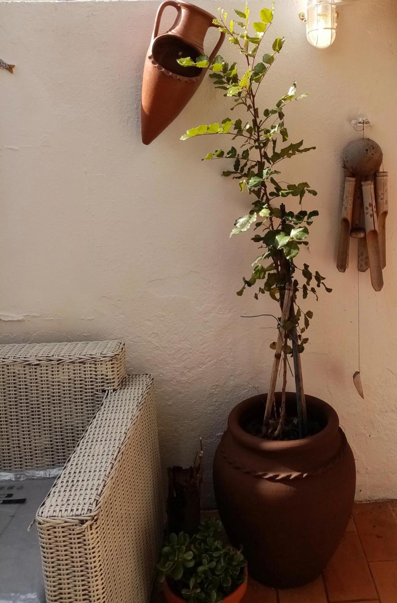 Casa Rustica Villa Olhão Eksteriør billede